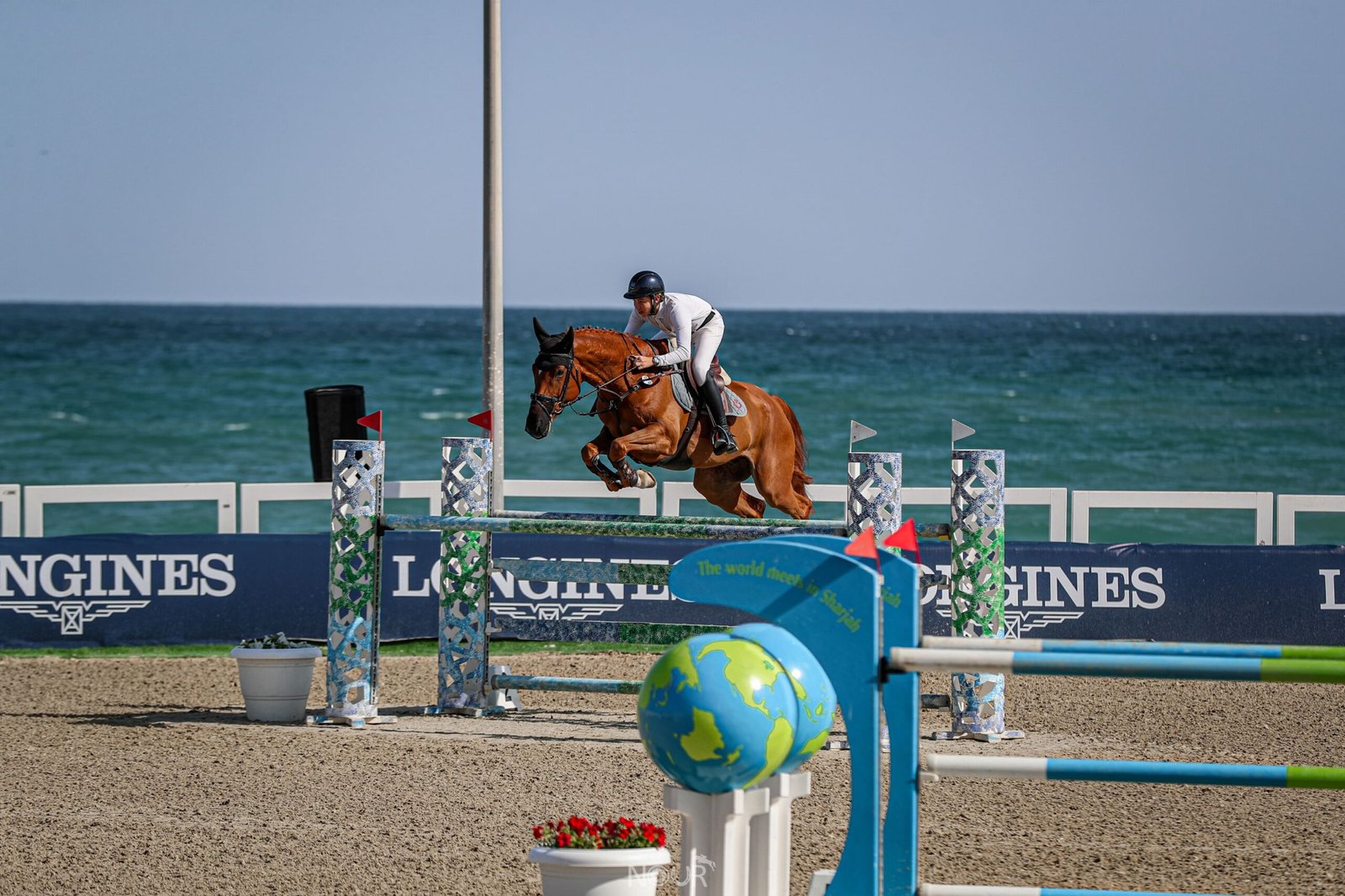 242 جوادا يشاركون في مهرجان الشارقة كلباء السادس للجواد العربي