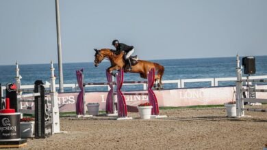 تواصل منافسات بطولة "الشارقة كلباء" لقفز الحواجز