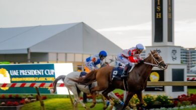 فلوريدا تستضيف غدا كأس رئيس الدولة للخيول العربية الأصيلة
