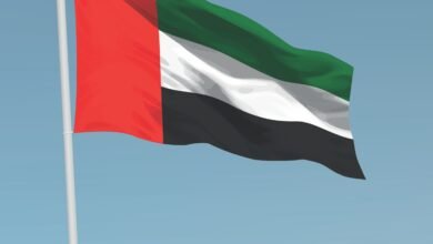 حصاد 2024.. الإمارات تواكب الحاضر وتستشرف المستقبل بمنظومة تشريعية استباقية