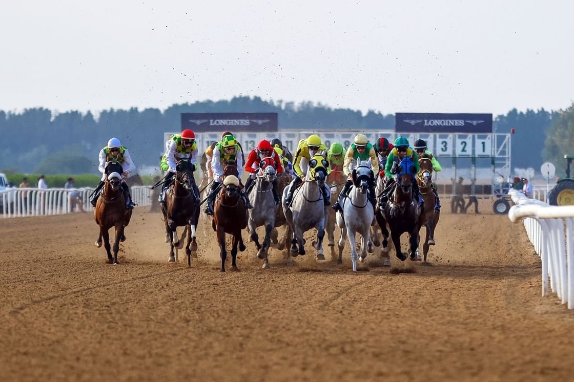 غداً .. انطلاق كأس مجلس التعاون الخليجي لسباق الخيل في الشارقة