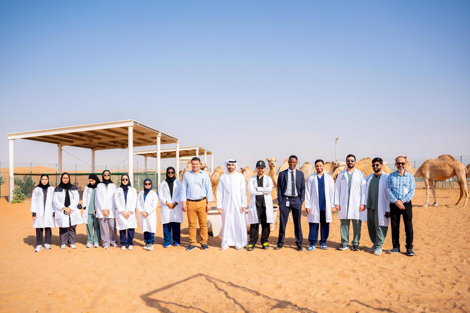 مخيم "أطباء المستقبل" يطور مهارات الشباب في المجال البيطري