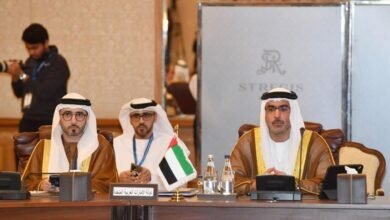 الإمارات تشارك في الاجتماع الـ 113 لمجلس وزراء المنظمة العربية للطاقة