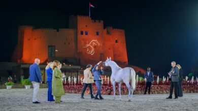 منافسات مثيرة في اليوم الأول لبطولة الفجيرة الدولية للخيل العربي
