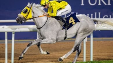 كأس رئيس الدولة للخيول العربية .. "زخم عالمي" على مضمار أبوظبي للسباق