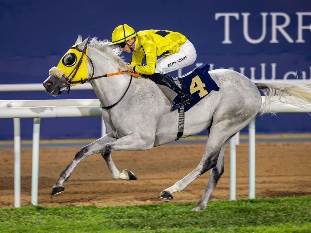 كأس رئيس الدولة للخيول العربية .. "زخم عالمي" على مضمار أبوظبي للسباق