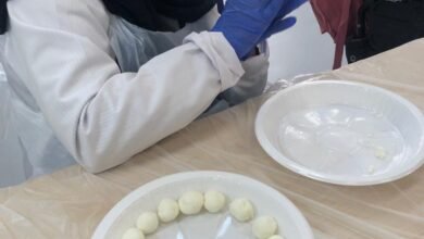 مؤسسة زايد العليا تنتج 276,420 كيلوغرام من اللبنة بأيدي أصحاب الهمم في أول معمل بالقوع