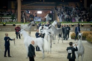 عمار بن حميد وجاسم بن حمد يشهدان اختتام مرحلة عجمان من "جولة الجياد العربية"
