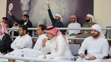 أكثر من 3 ملايين درهم حصيلة مزاد الشارقة للخيول
