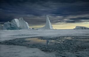 "اكسبوجر" 2025.. 420 فناناً بصرياً عالمياً يقدمون 3100 عمل فني في 98 معرضاً