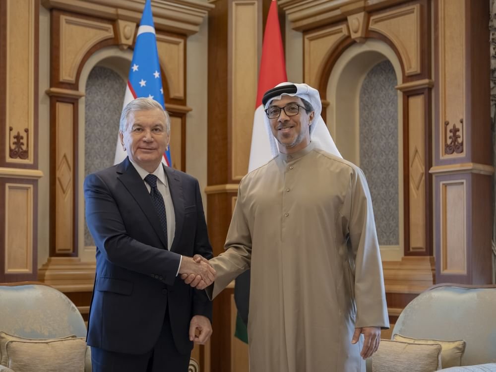 منصور بن زايد ورئيس أوزبكستان يبحثان علاقات التعاون