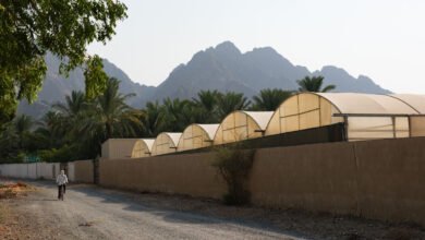 الجناح الوطني لدولة الإمارات في بينالي العمارة 2025 في البندقية يعلن عن معرض "على نار هادئة" بإشراف المعمارية والباحثة الأكاديمية الإماراتية عزه أبو علم