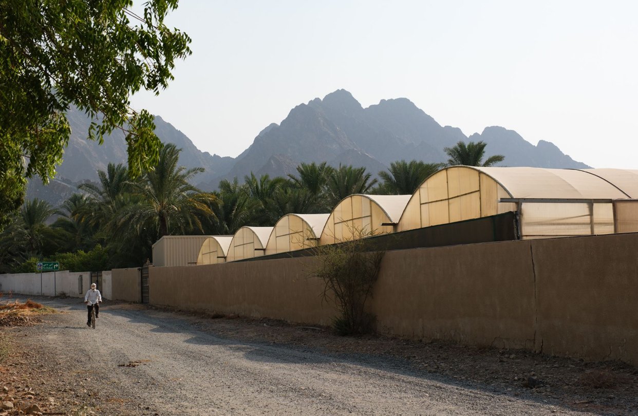 الجناح الوطني لدولة الإمارات في بينالي العمارة 2025 في البندقية يعلن عن معرض "على نار هادئة" بإشراف المعمارية والباحثة الأكاديمية الإماراتية عزه أبو علم