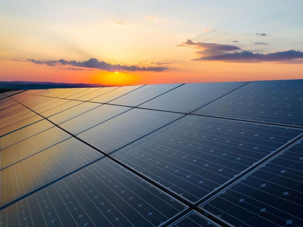 آمنة الضحاك : مشروع الطاقة الشمسية وبطاريات التخزين خطوة مهمة لتحقيق الحياد المناخي