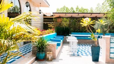 فتح باب التسجيل لجائزة عجمان للزراعة 2025