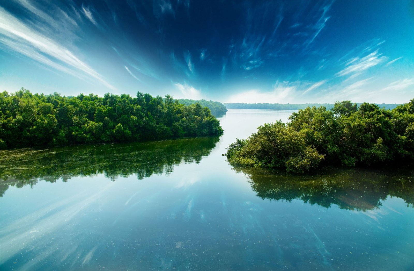 المتنزهات الطبيعية في الإمارات .. تجسيد متكامل لمفهوم السياحة الخضراء