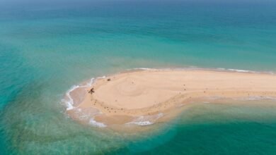إدراج محمية جزيرة صير بونعير في القائمة العالمية الخضراء للمناطق المحمية