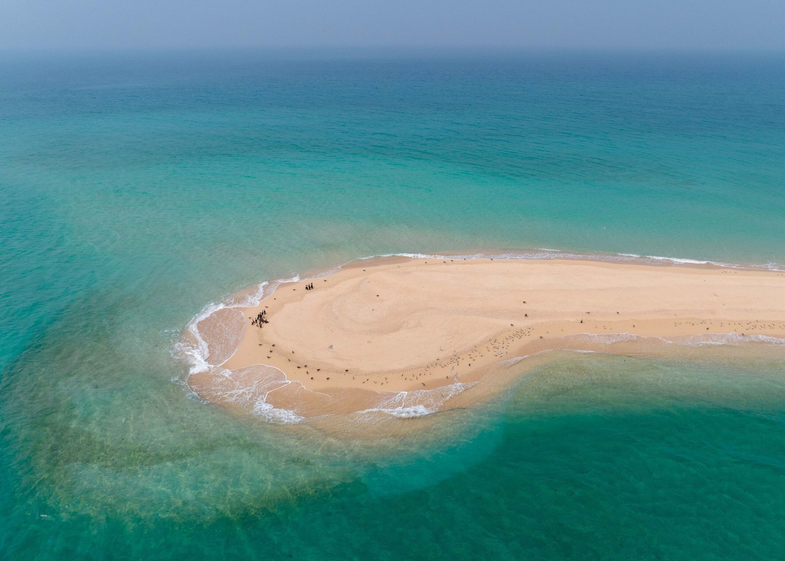 إدراج محمية جزيرة صير بونعير في القائمة العالمية الخضراء للمناطق المحمية