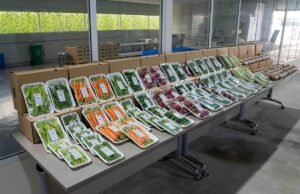 حاكم الشارقة يشهد تدشين منتجات "غراس" العضوية في الصوبات الزراعية