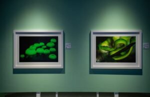 المصور الألماني الشهير ديتر شونلاو يعرض صوراً نادرة لم ترها عينٌ من قبل