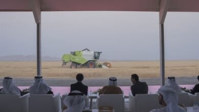 حاكم الشارقة يشهد حصاد الموسم الثالث لقمح "سبع سنابل" في مليحة