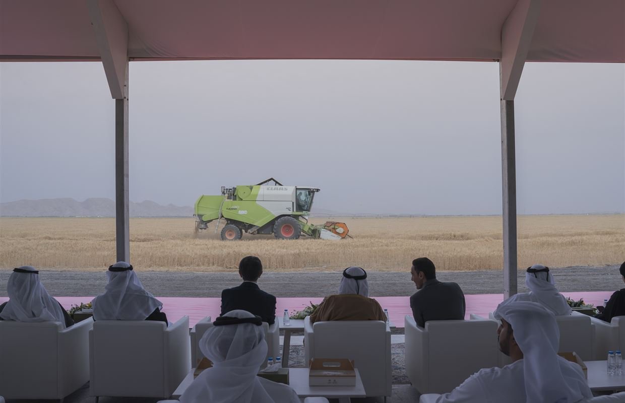 حاكم الشارقة يشهد حصاد الموسم الثالث لقمح "سبع سنابل" في مليحة