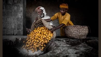 "اكسبوجر 2025" يستعرض روائع السرد البصري بنسخته الـ 9