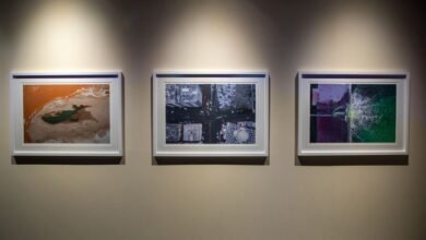 "ما بعد العاصفة" لسعود بن سلطان يوثق حكاية أقوى عاصفة في تاريخ الإمارات