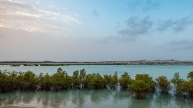 هيئة البيئة – أبوظبي تصدر لائحة جديدة بشأن الجزاءات الإدارية لتعزيز حماية البيئة