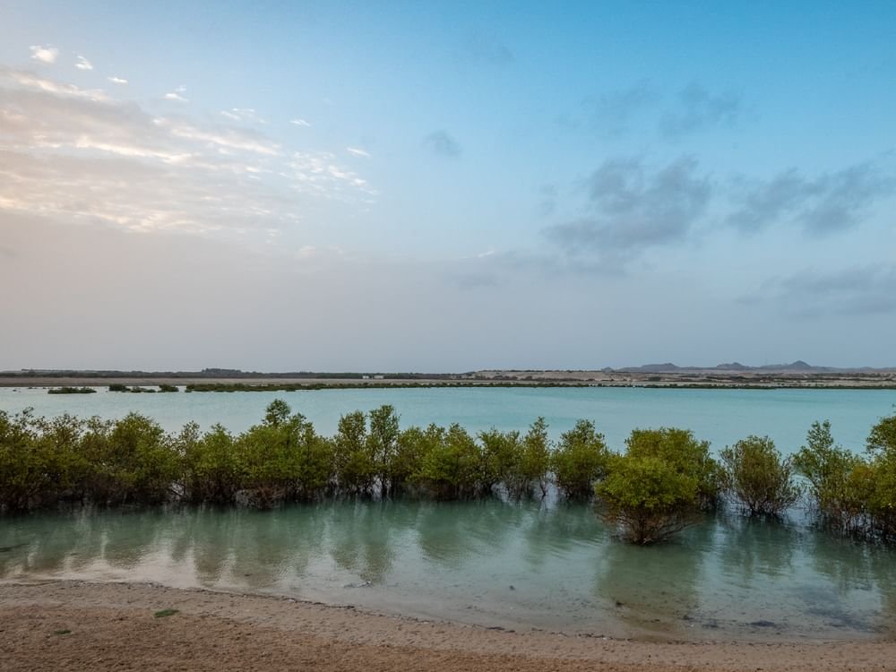 هيئة البيئة – أبوظبي تصدر لائحة جديدة بشأن الجزاءات الإدارية لتعزيز حماية البيئة