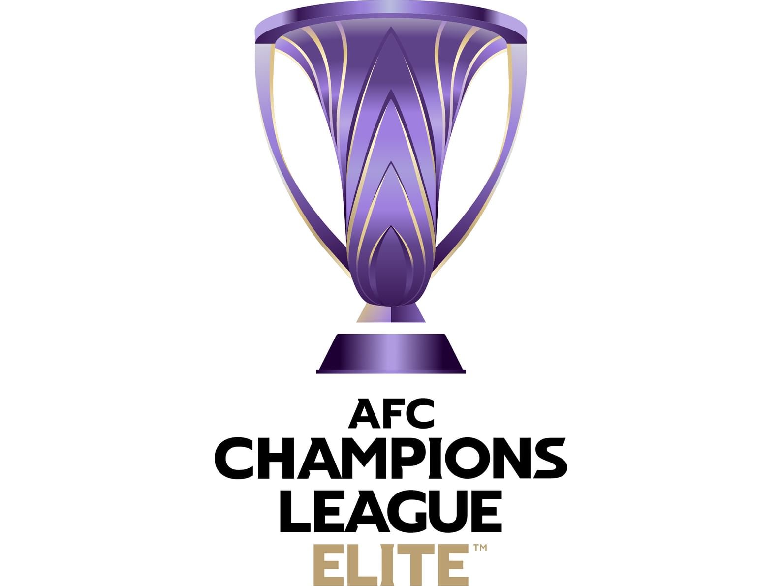 طاقم تحكيم إماراتي يدير مباراة السد القطري والأهلي السعودي غداً