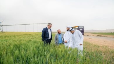 وزير دنماركي يطلع على تجربة الشارقة في زراعة القمح العضوي