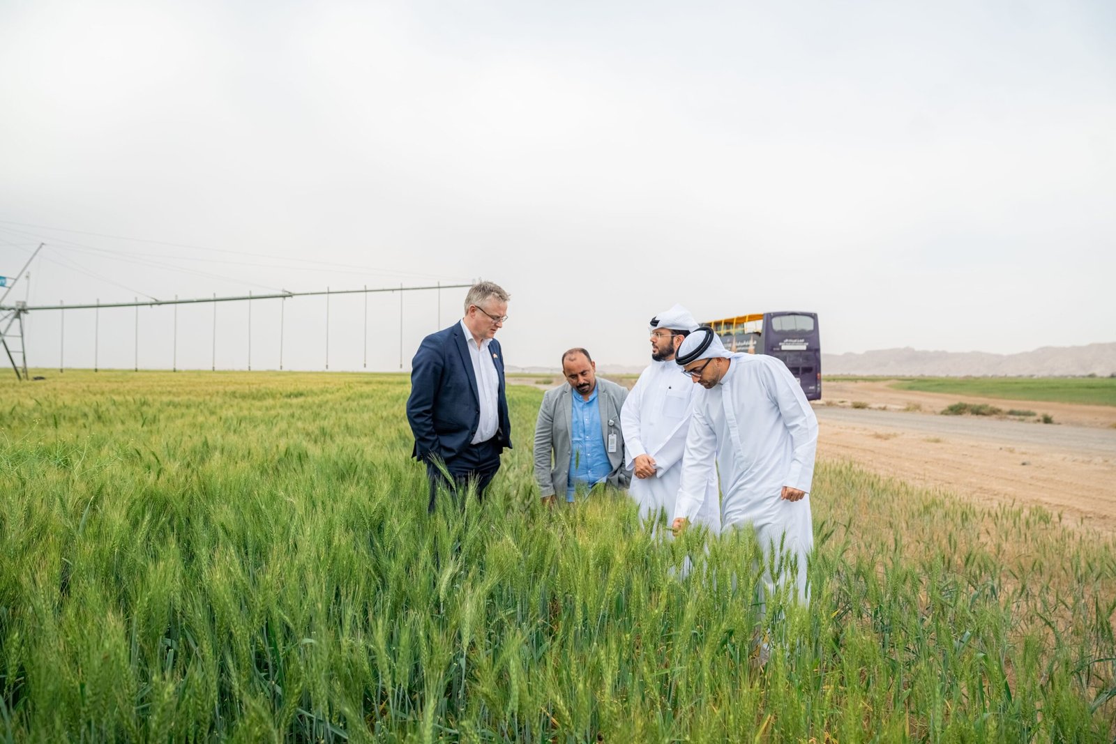 وزير دنماركي يطلع على تجربة الشارقة في زراعة القمح العضوي 1 وزير دنماركي يطلع على تجربة الشارقة في زراعة القمح العضوي