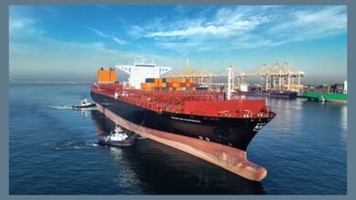 ميناء جبل علي يستقبل أول سفينة في شبكة "جيميني" الجديدة للشحن البحري