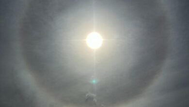 رصد ظاهرة “الهالة الشمسية” في سماء الإمارات