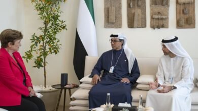 منصور بن زايد يلتقي مدير عام صندوق النقد الدولي على هامش القمة العالمية للحكومات