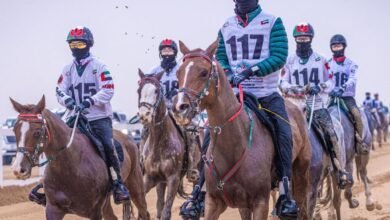 اكتمال الاستعدادات لانطلاق كأس رئيس الدولة للقدرة