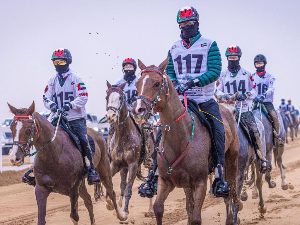 اكتمال الاستعدادات لانطلاق كأس رئيس الدولة للقدرة