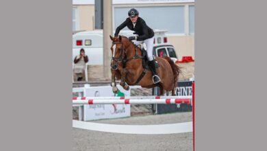 انطلاقة قوية لبطولة الشارقة الدولية لقفز الحواجز