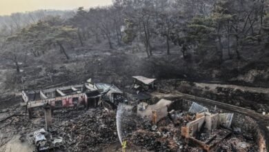 كوريا تكافح حرائق غابات في المنطقة الجنوبية الشرقية