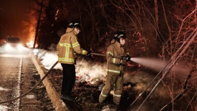 حرائق الغابات تلتهم 15 ألف هكتار في كوريا