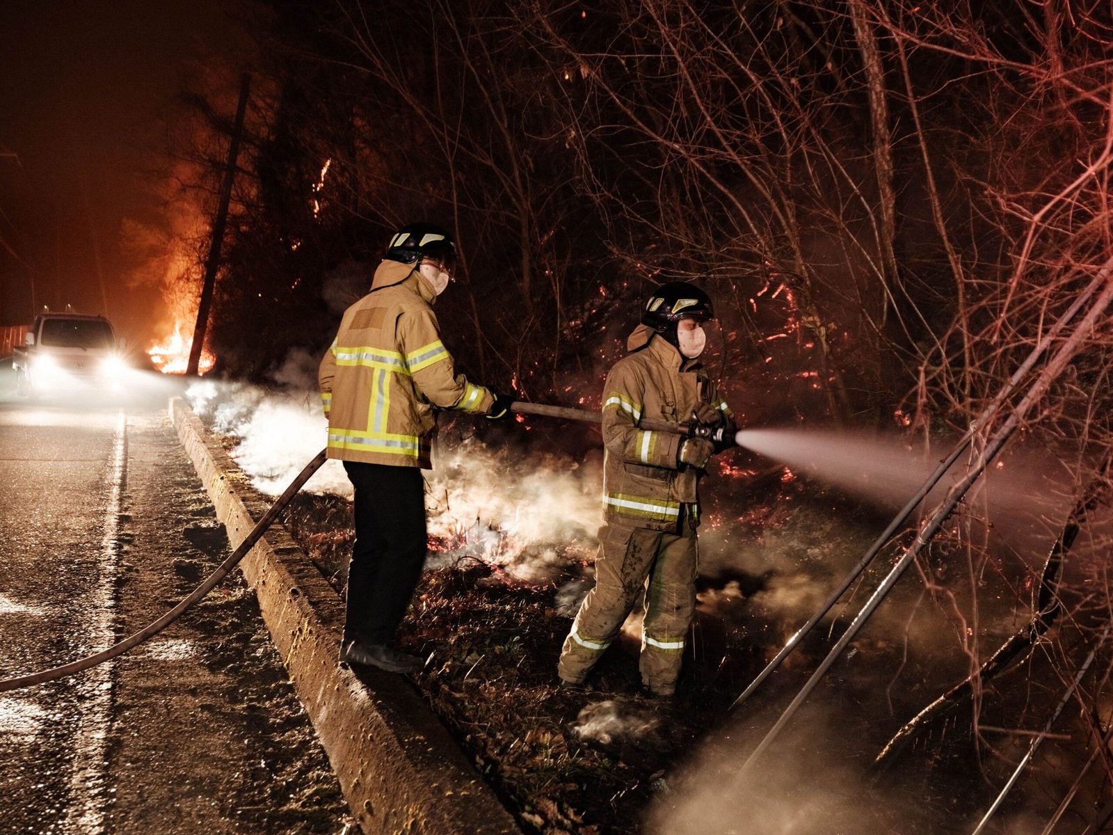 حرائق الغابات تلتهم 15 ألف هكتار في كوريا