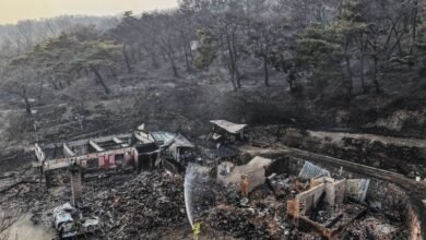 مقتل 18 شخصا جراء حرائق الغابات في كوريا