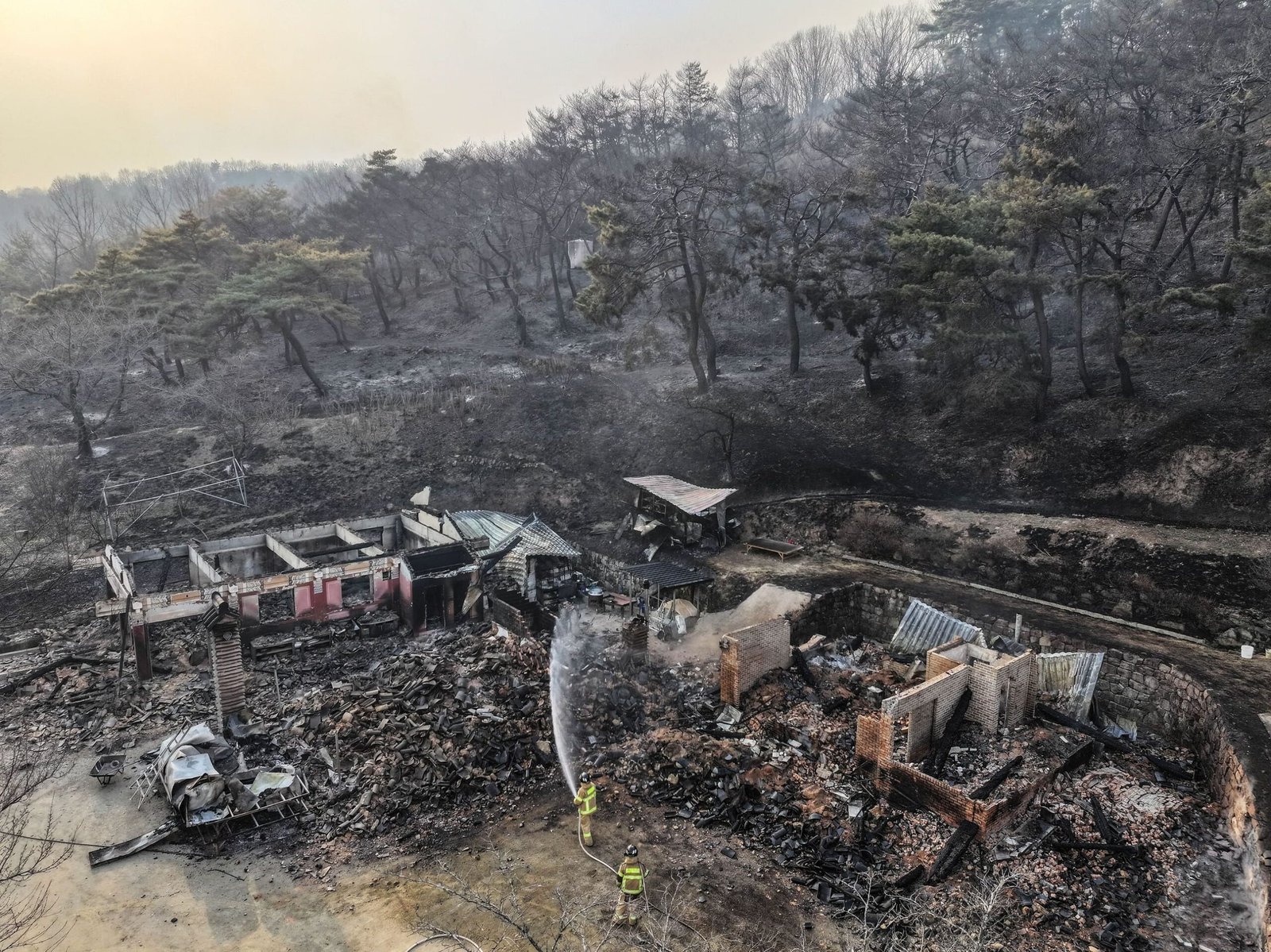 مقتل 18 شخصا جراء حرائق الغابات في كوريا 1 مقتل 18 شخصا جراء حرائق الغابات في كوريا