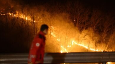 ارتفاع عدد ضحايا حرائق الغابات في كوريا إلى 26 قتيلًا