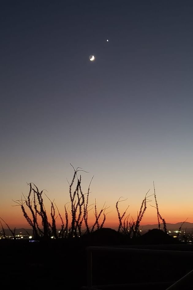 الزهرة ينتقل من كوكب صباحي إلى مسائي منتصف مارس