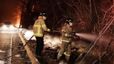 ارتفاع حصيلة قتلى حرائق الغابات في كوريا الجنوبية إلى 31