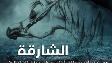 مهرجان الشارقة الدولي للجواد العربي