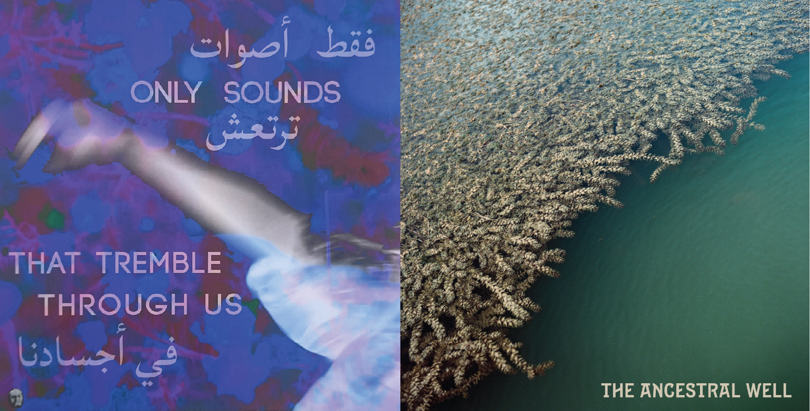 الشارقة للفنون تطلق ألبومين على أسطوانات الفينيل