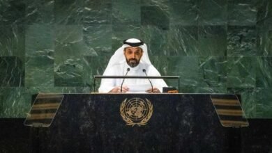 الجمعية العامة للأمم المتحدة تعتمد قراراً بالتوافق حول "دور الماس في تأجيج النزاع" بقيادة دولة الإمارات